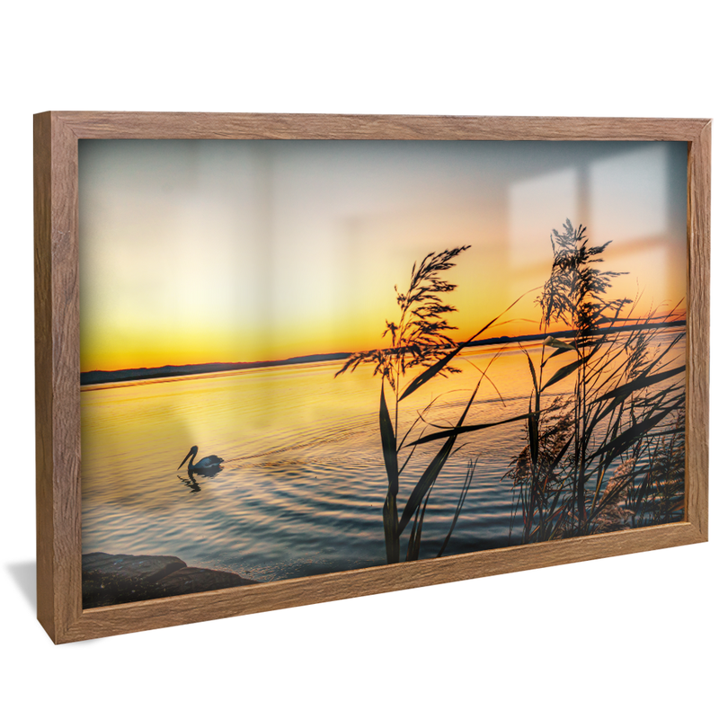 Pelican on Lake V1574 Canvas