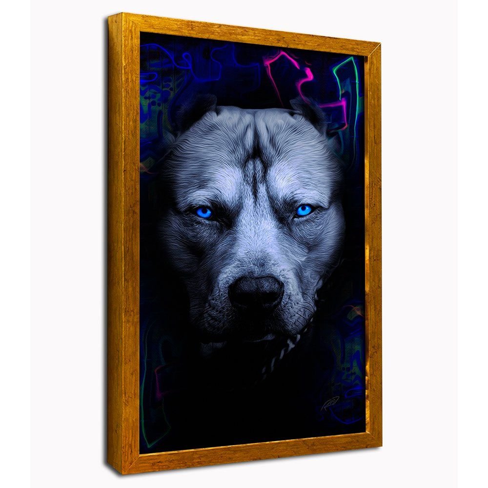 Pitbull Canvas