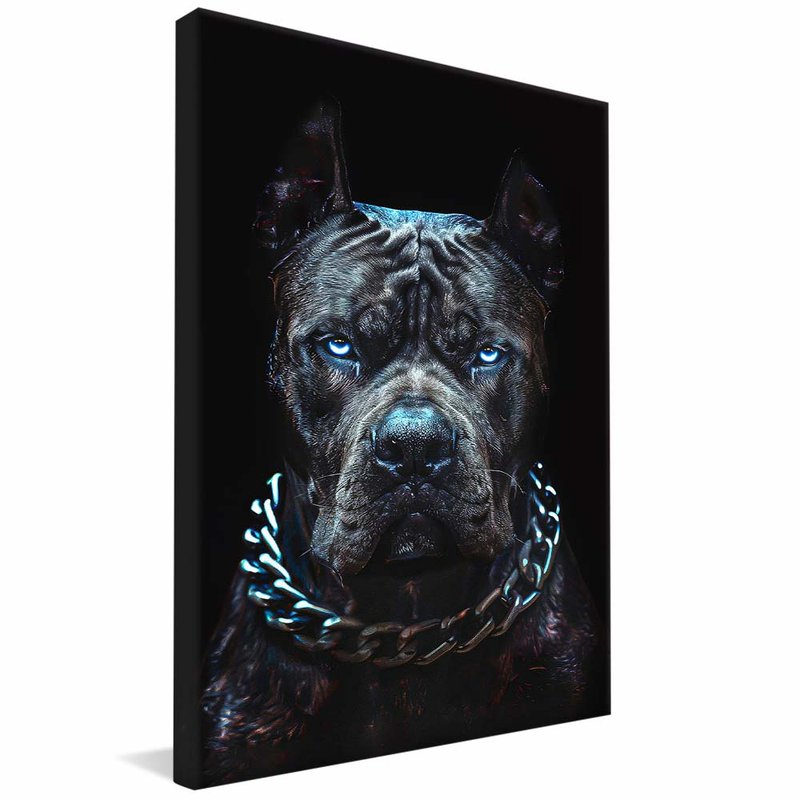 Powerful Look V1792 Canvas