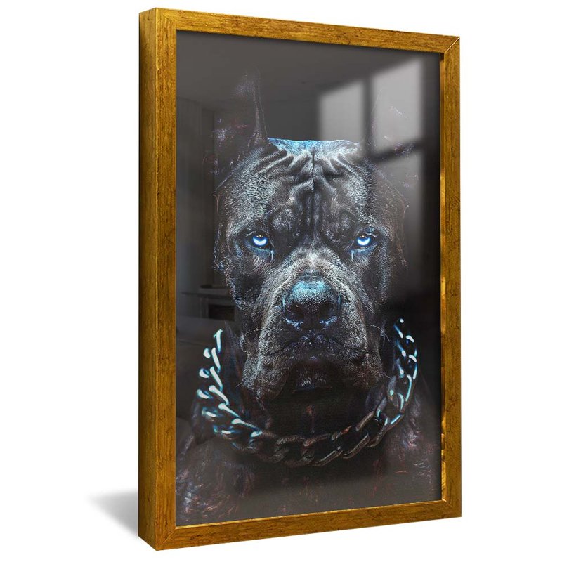 Powerful Look V1792 Canvas
