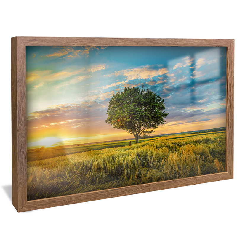 Tree in Field V1551 Canvas