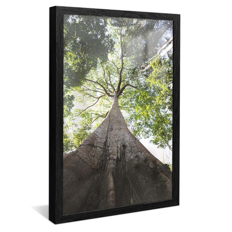 Tree in the Forest V1969 Canvas