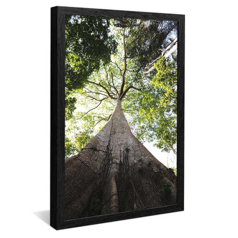 Tree in the Forest V1969 Canvas
