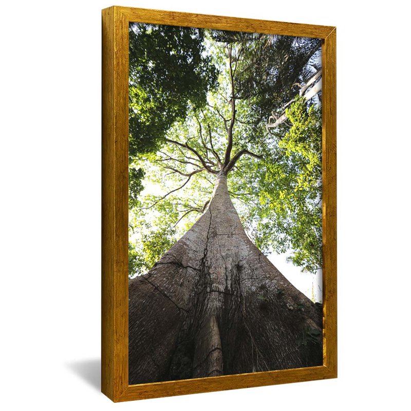 Tree in the Forest V1969 Canvas