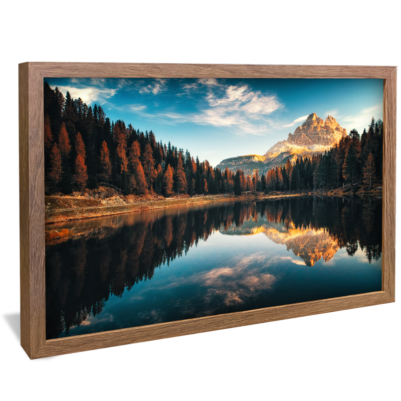 1 Piece Trees and Lake V1188 Canvas