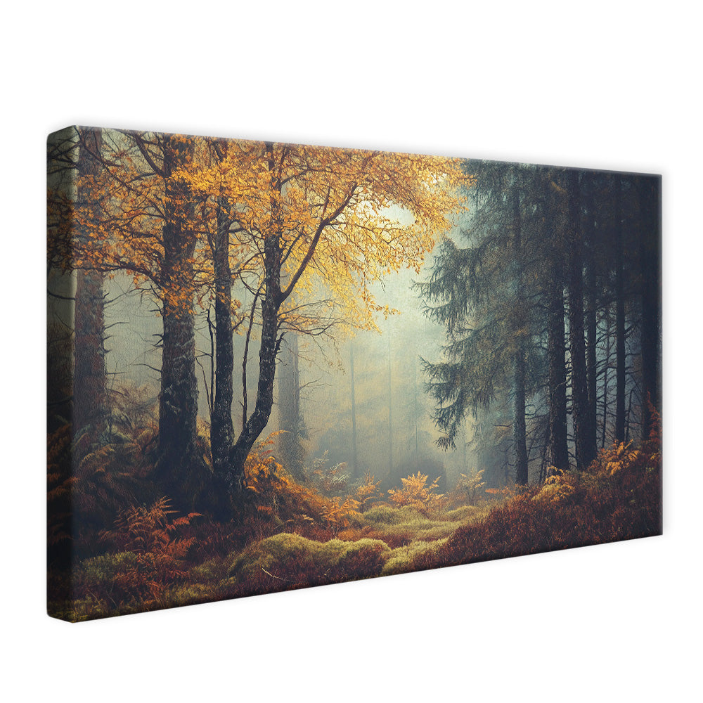 Forest and Trees Landscape V2507 Canvas