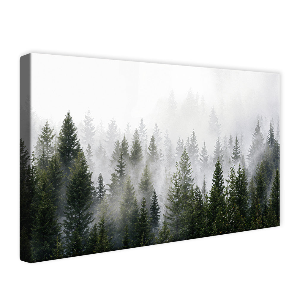 Forest and Fog V2498 Canvas
