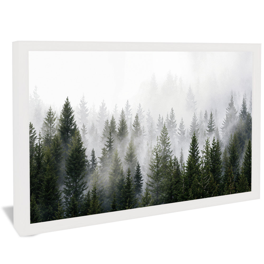 Forest and Fog V2498 Canvas