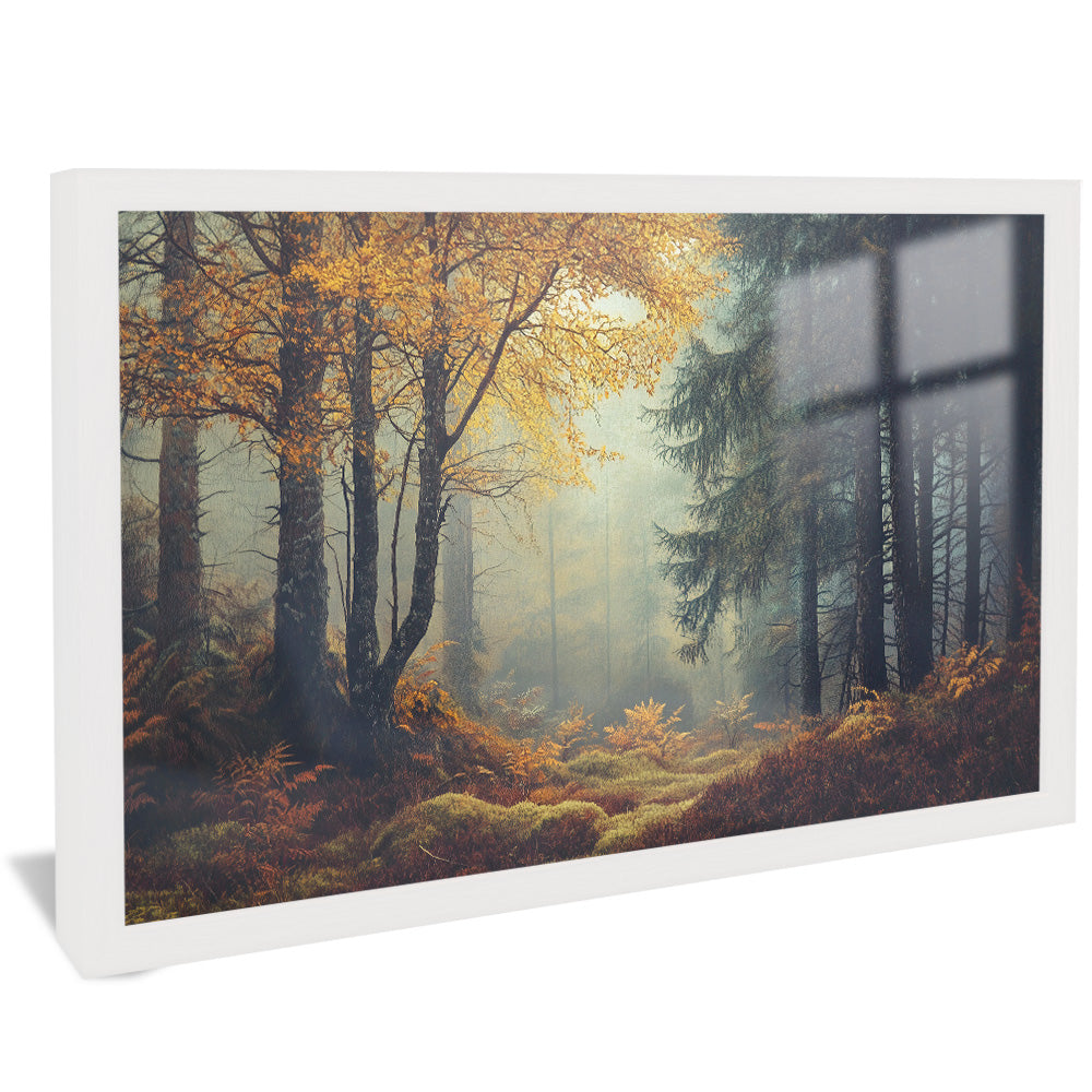 Forest and Trees Landscape V2507 Canvas