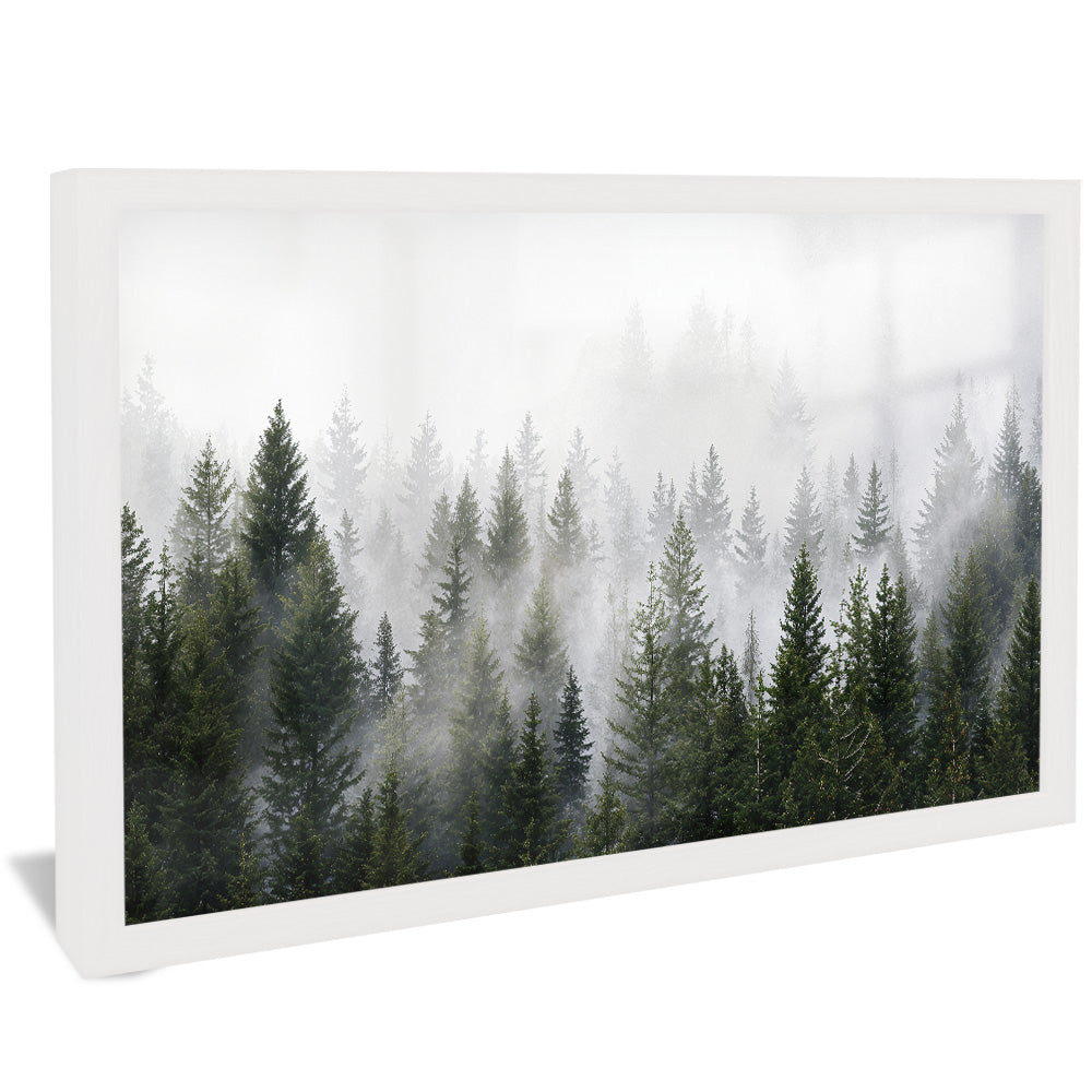 Forest and Fog V2498 Canvas