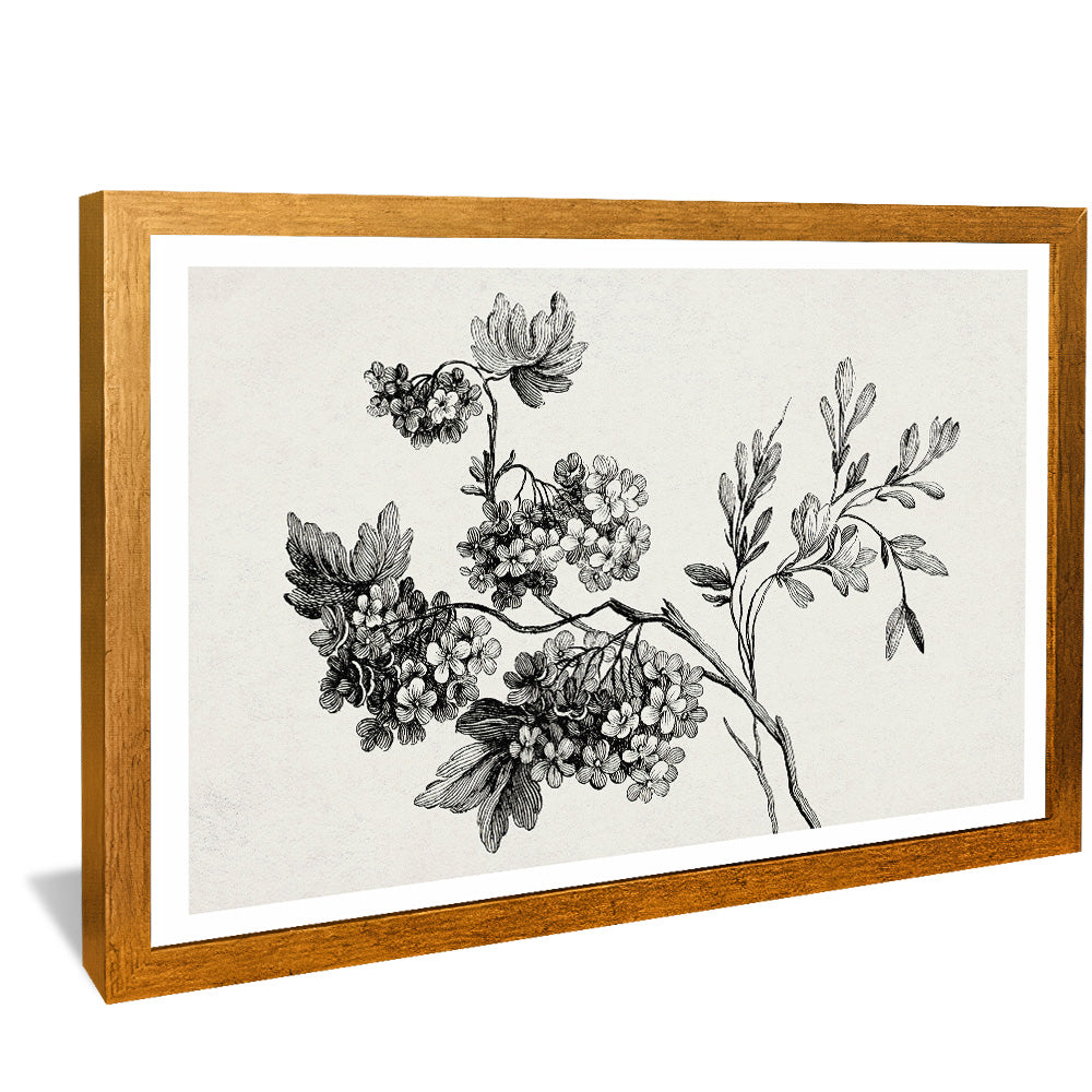 Black and White Floral Drawing V2502 Canvas