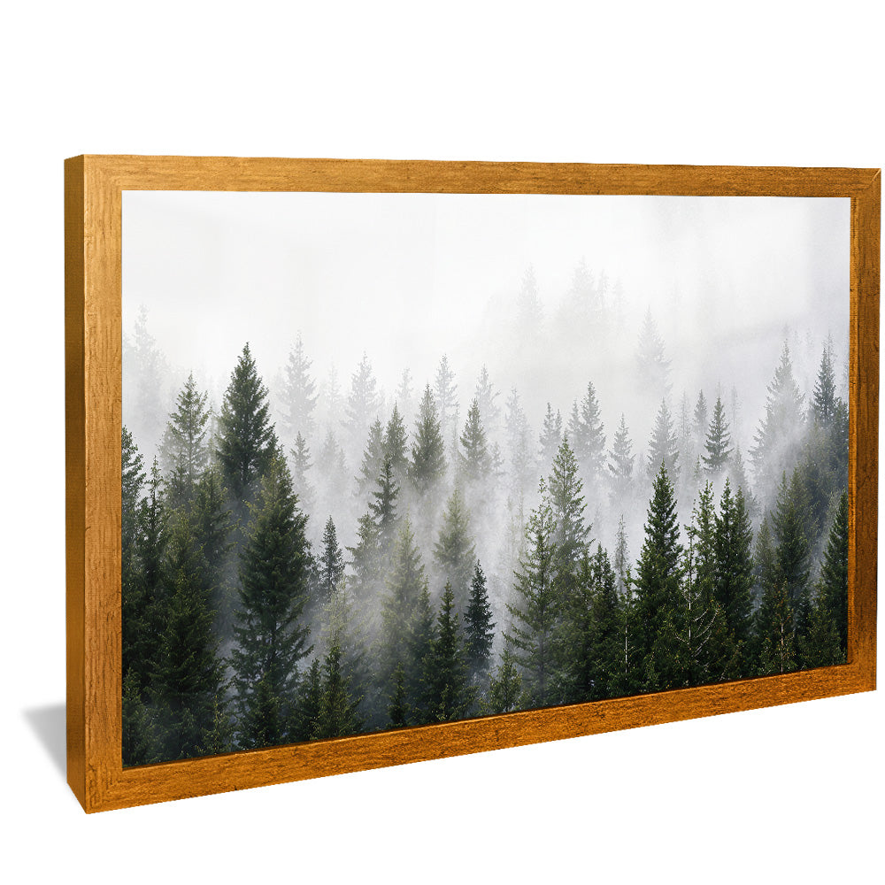 Forest and Fog V2498 Canvas