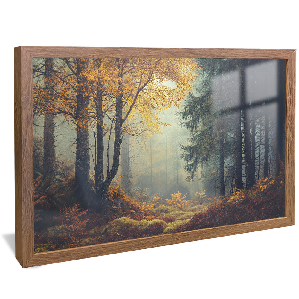Forest and Trees Landscape V2507 Canvas