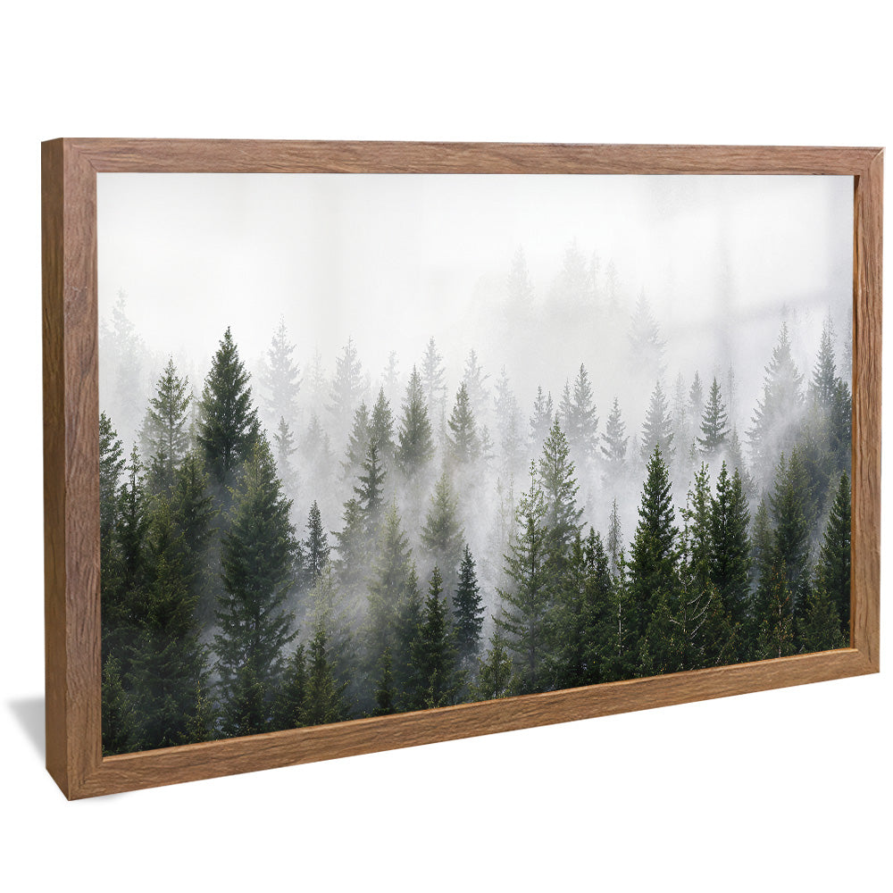 Forest and Fog V2498 Canvas