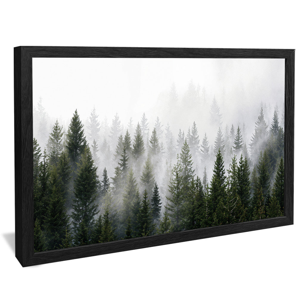 Forest and Fog V2498 Canvas