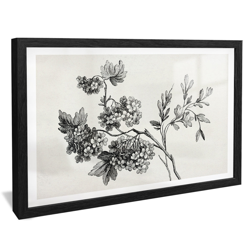 Black and White Floral Drawing V2502 Canvas