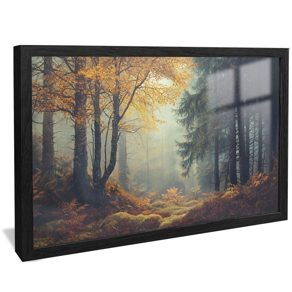 Forest and Trees Landscape V2507 Canvas