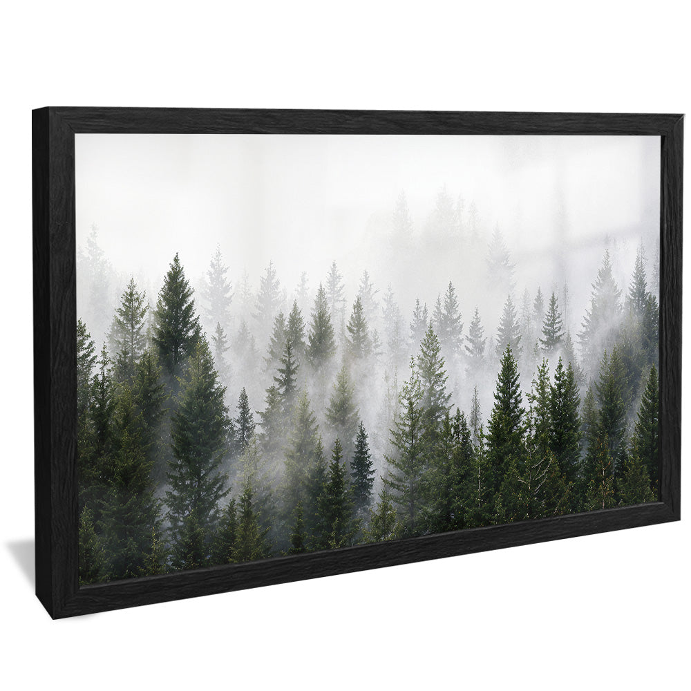 Forest and Fog V2498 Canvas