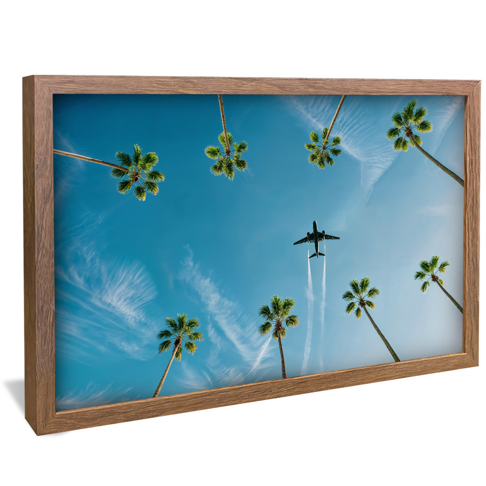 Above the Palms V2298 Canvas