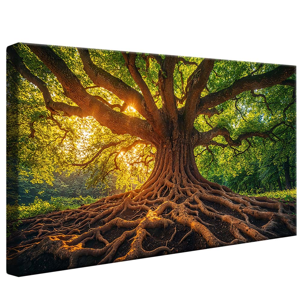 Tree and Its Roots V2232 Canvas