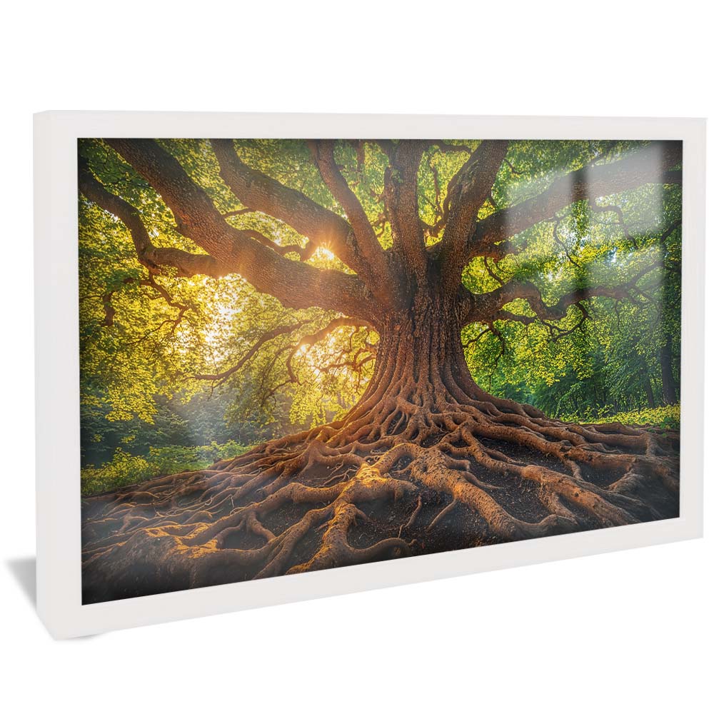 Tree and Its Roots V2232 Canvas