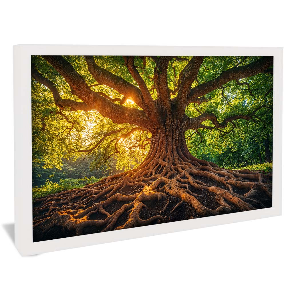 Tree and Its Roots V2232 Canvas