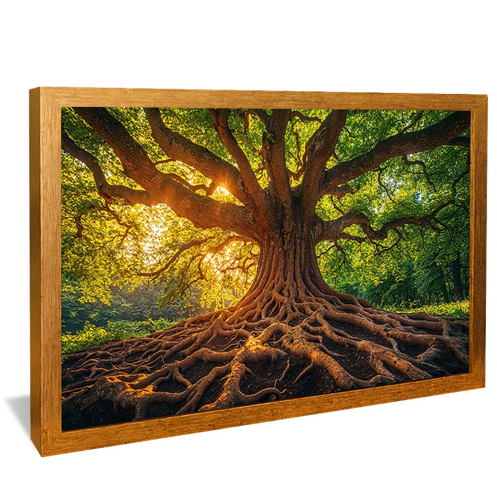 Tree and Its Roots V2232 Canvas