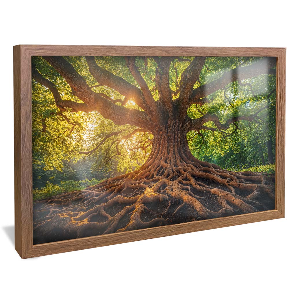 Tree and Its Roots V2232 Canvas