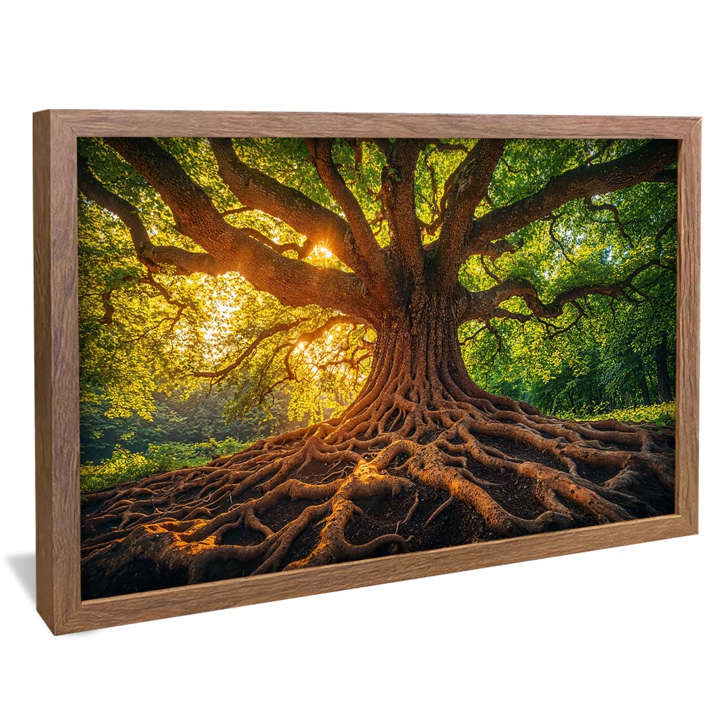 Tree and Its Roots V2232 Canvas