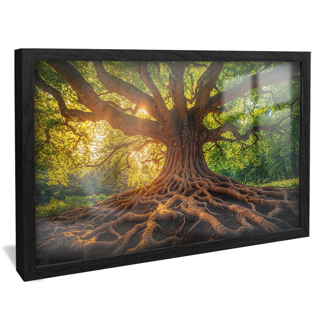 Tree and Its Roots V2232 Canvas