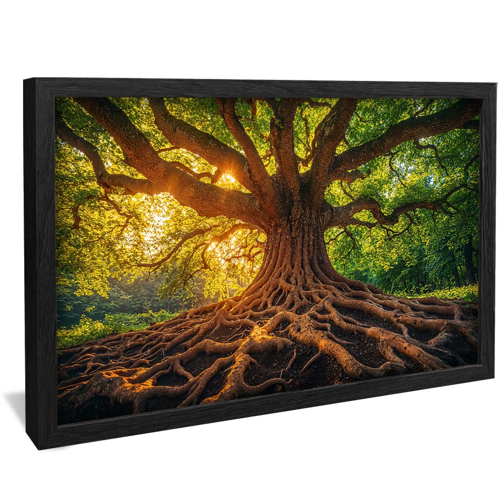 Tree and Its Roots V2232 Canvas