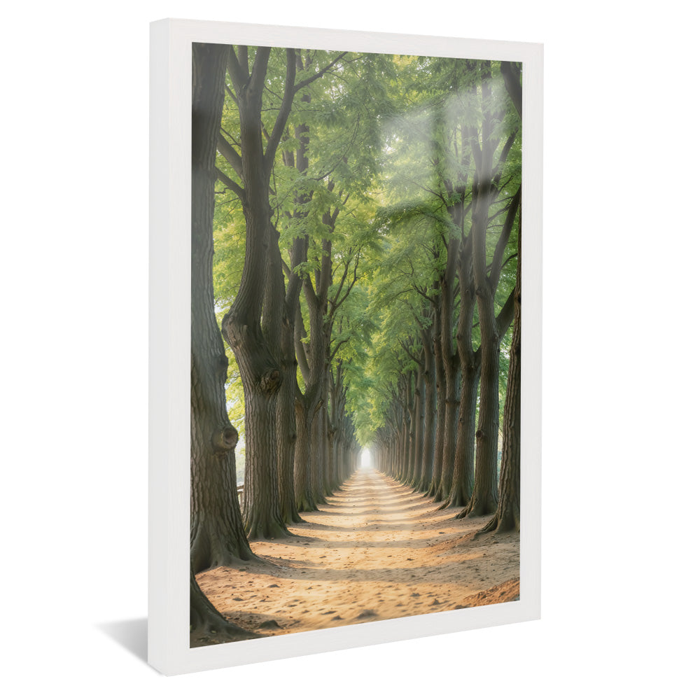 Path Between the Trees V2258 Canvas