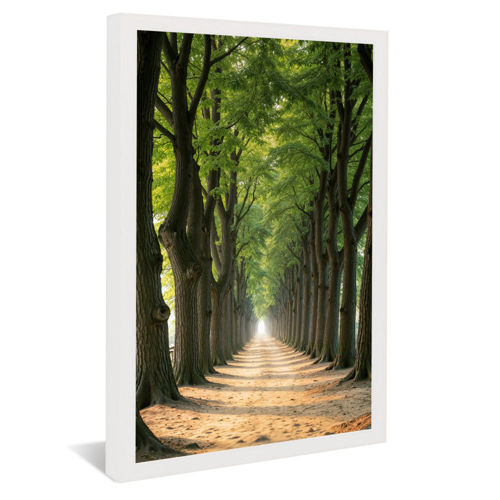 Path Between the Trees V2258 Canvas
