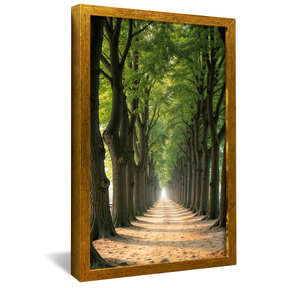 Path Between the Trees V2258 Canvas