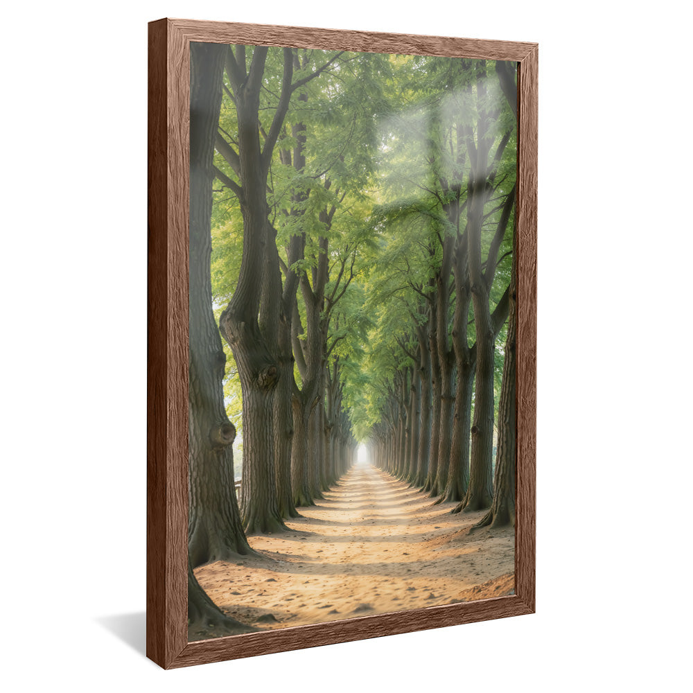Path Between the Trees V2258 Canvas
