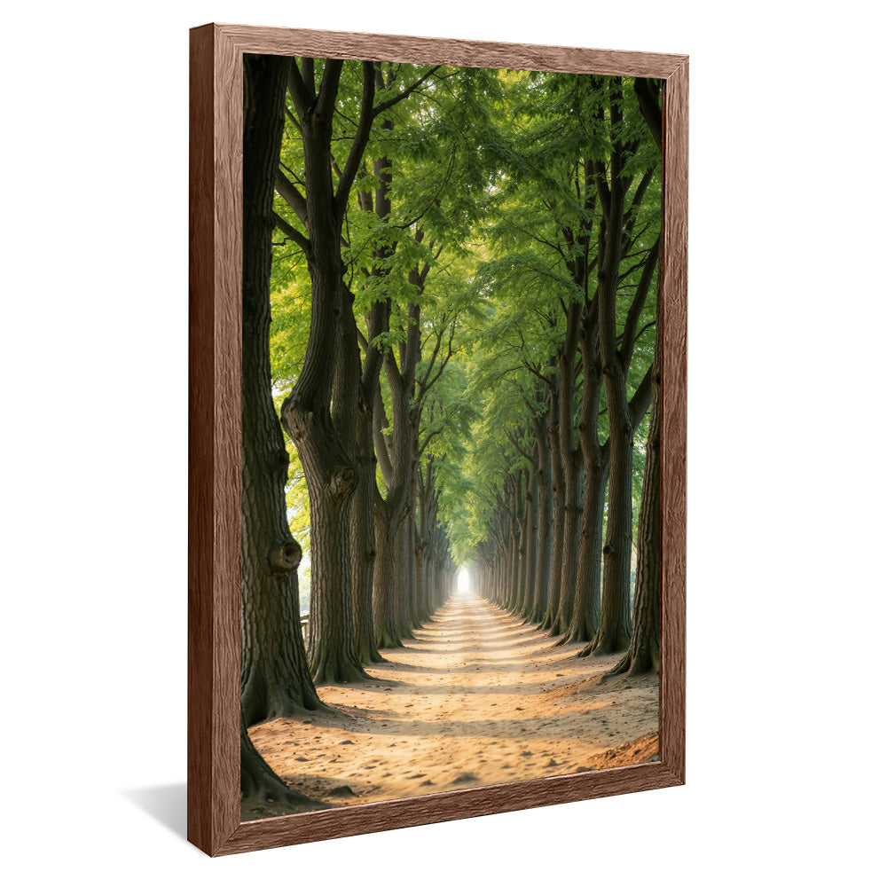 Path Between the Trees V2258 Canvas