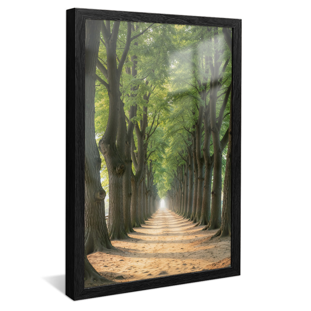 Path Between the Trees V2258 Canvas