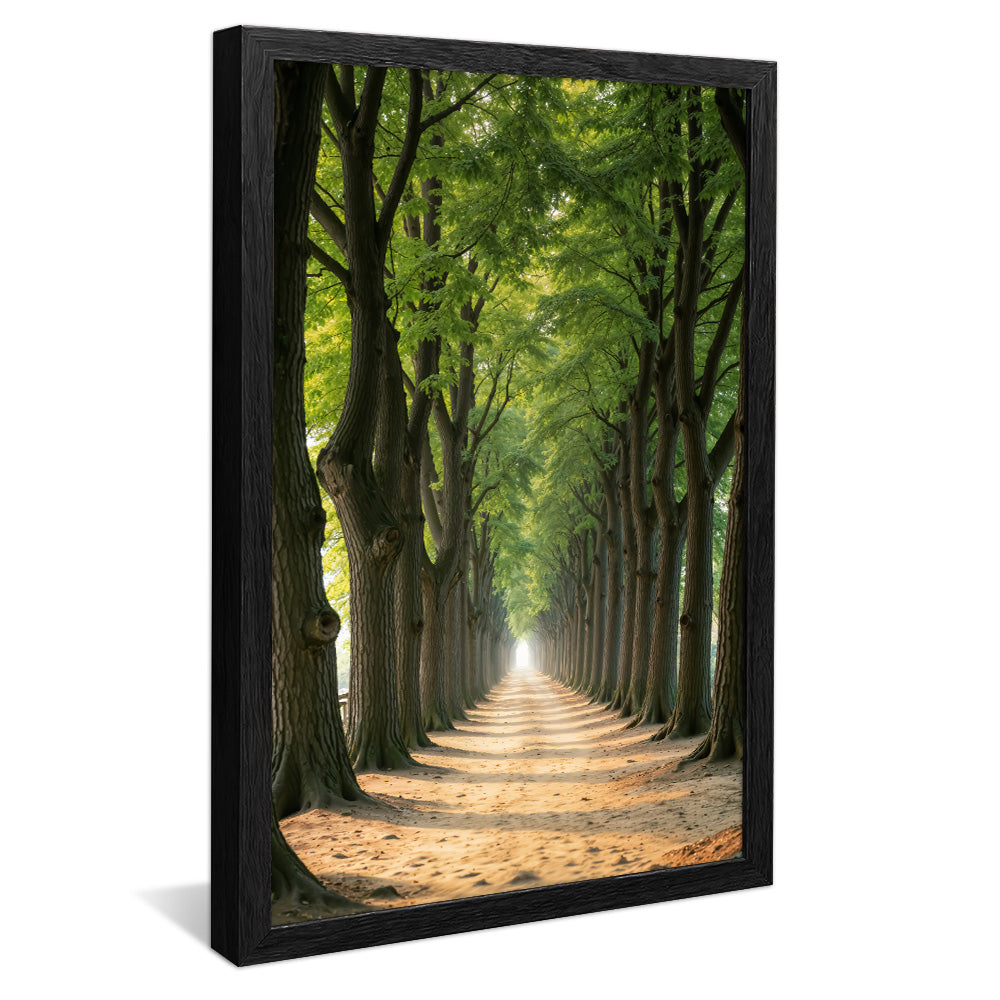 Path Between the Trees V2258 Canvas