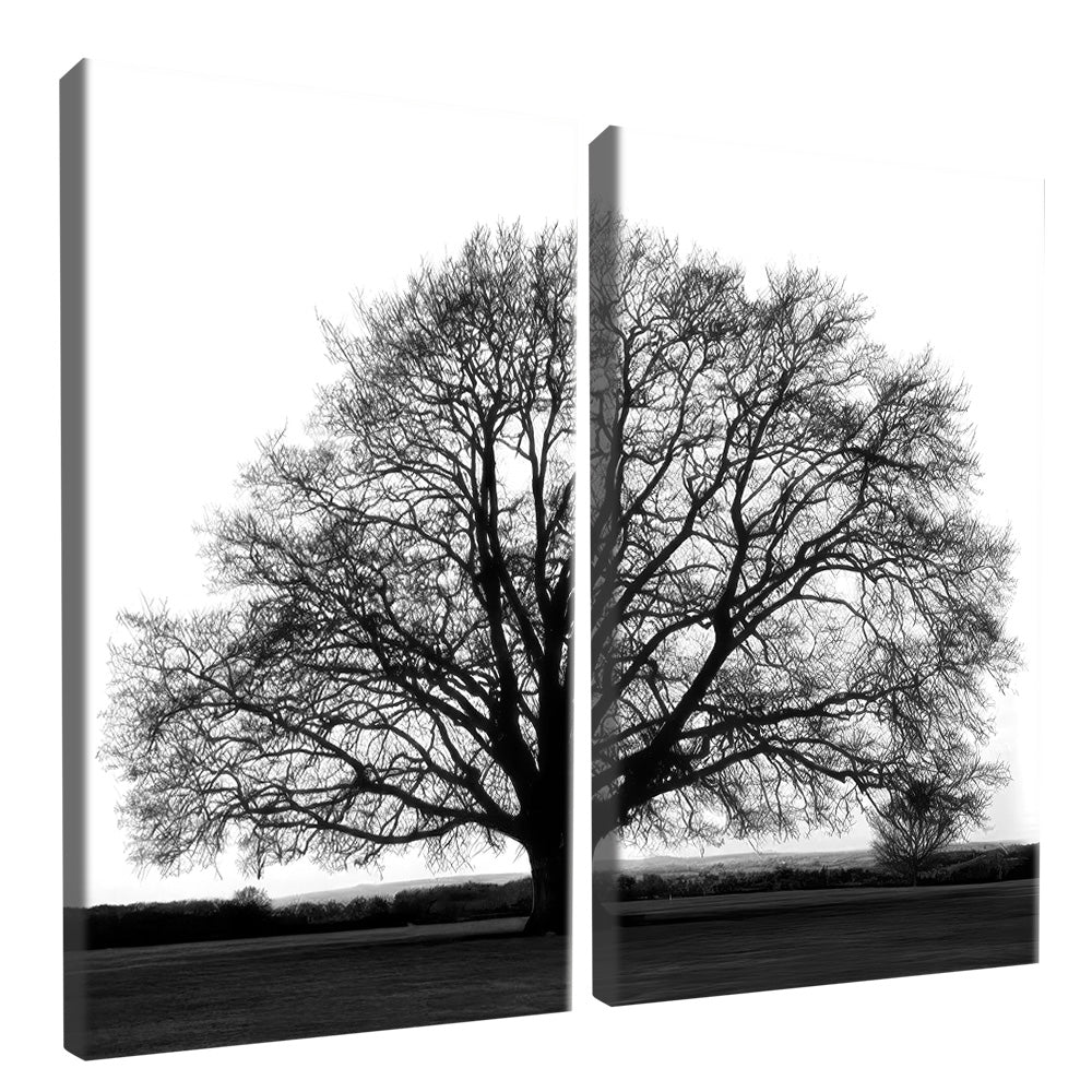 Black and White Tree Duo V2200 Canvas