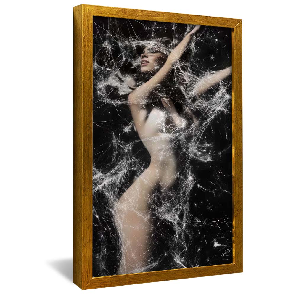 Decorative Canvas Abstract Woman V2164