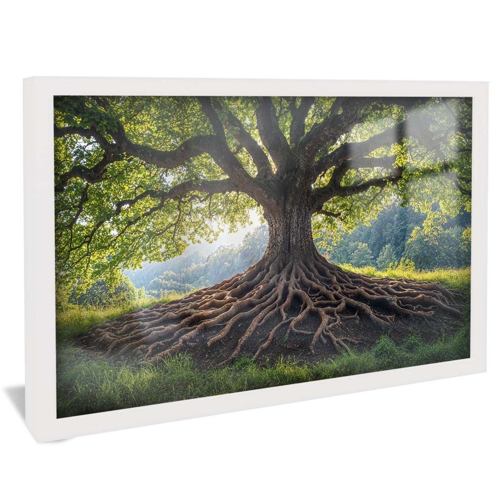 Roots of Nature V2230 Canvas