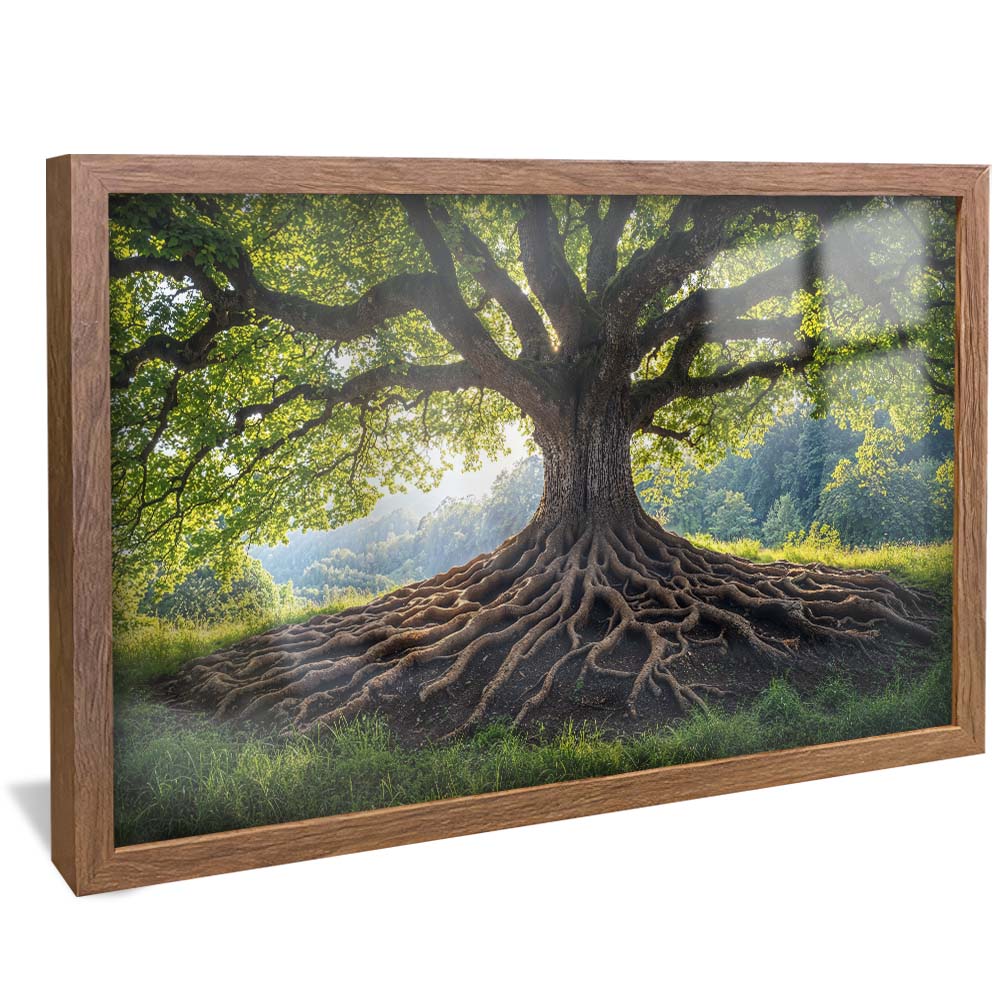 Roots of Nature V2230 Canvas