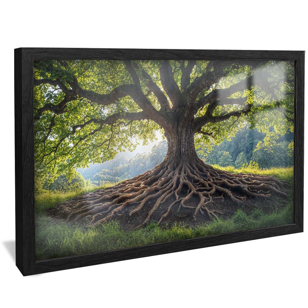 Roots of Nature V2230 Canvas
