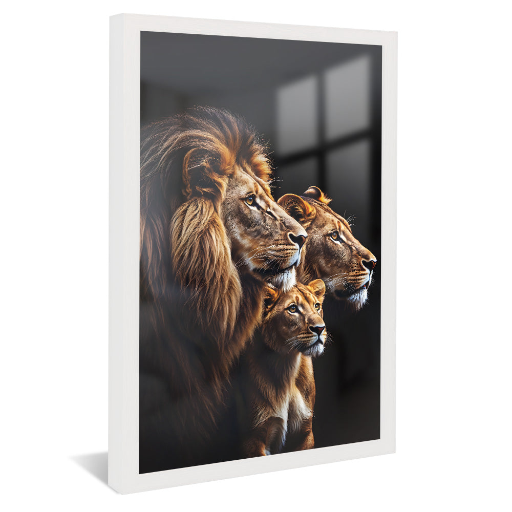 Lion Trio V2273 Canvas