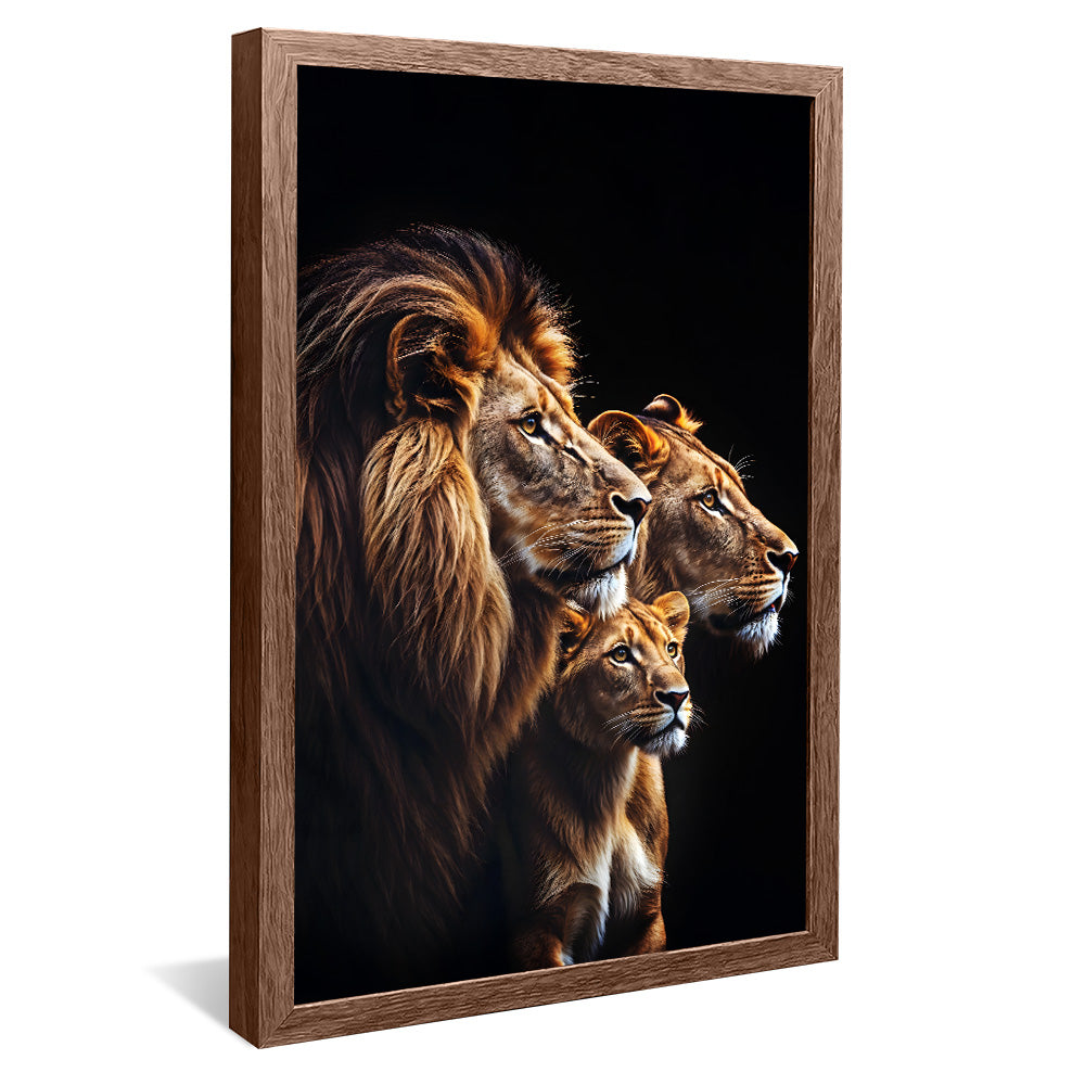 Lion Trio V2273 Canvas
