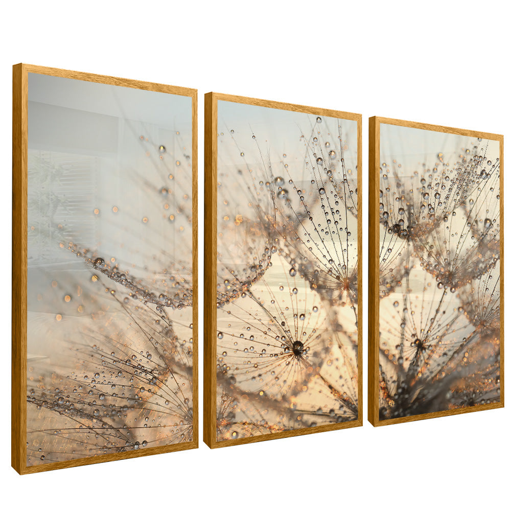 Dandelion Trio V2201 Canvas