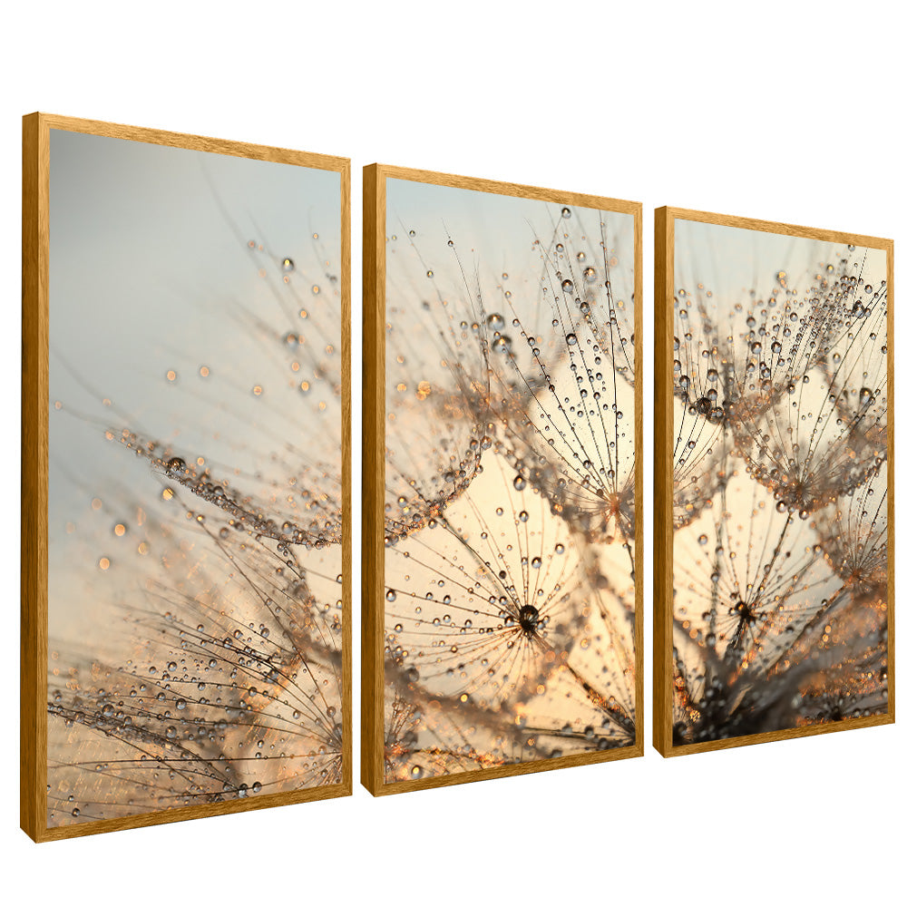 Dandelion Trio V2201 Canvas