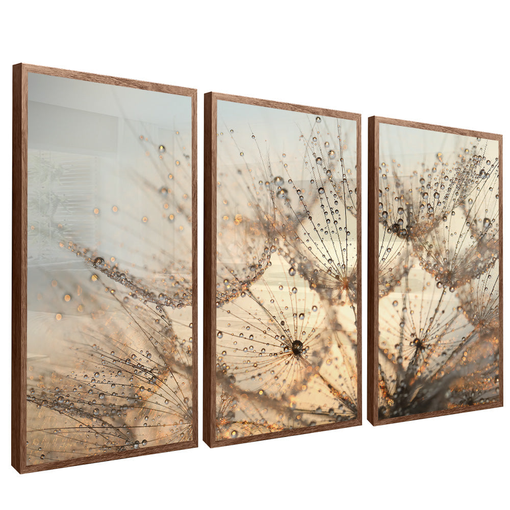 Dandelion Trio V2201 Canvas