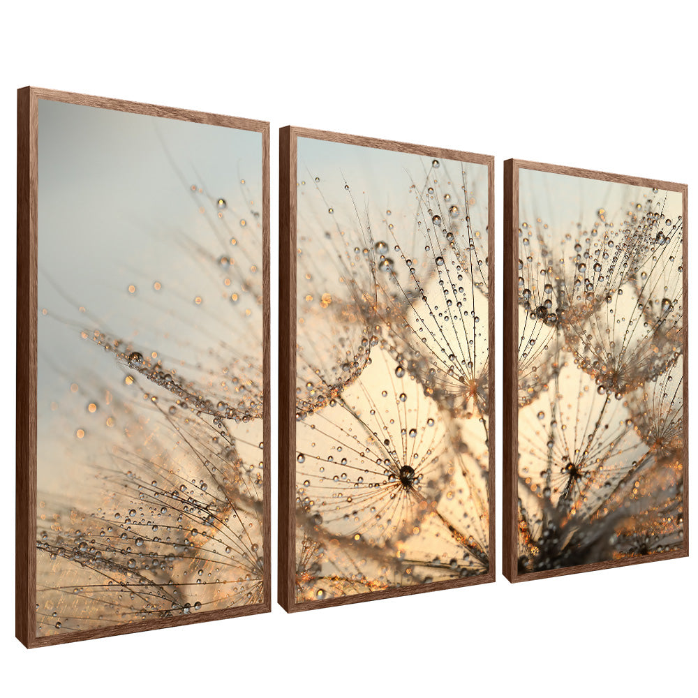 Dandelion Trio V2201 Canvas