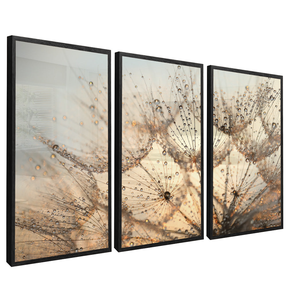 Dandelion Trio V2201 Canvas